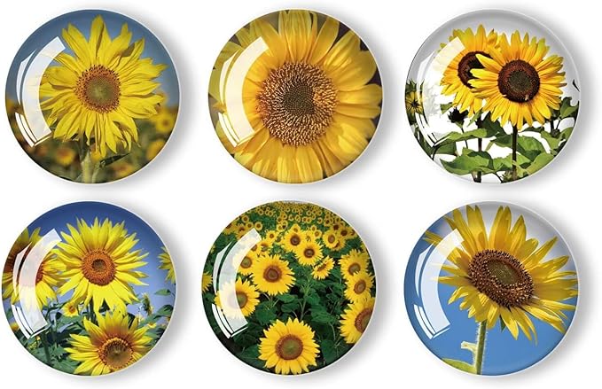12Pcs Glass Refrigerator Magnets - Fridge Magnets Decoration for Classroom, Locker, Office Whiteboards, Cabinet, Dishwasher and Magnetic Surfaces (Sunflower)