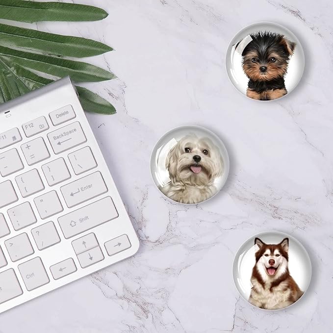 12Pcs Glass Refrigerator Magnets - Fridge Magnets Decoration for Classroom, Locker, Office Whiteboards, Cabinet, Dishwasher and Magnetic Surfaces (Cute Dogs)