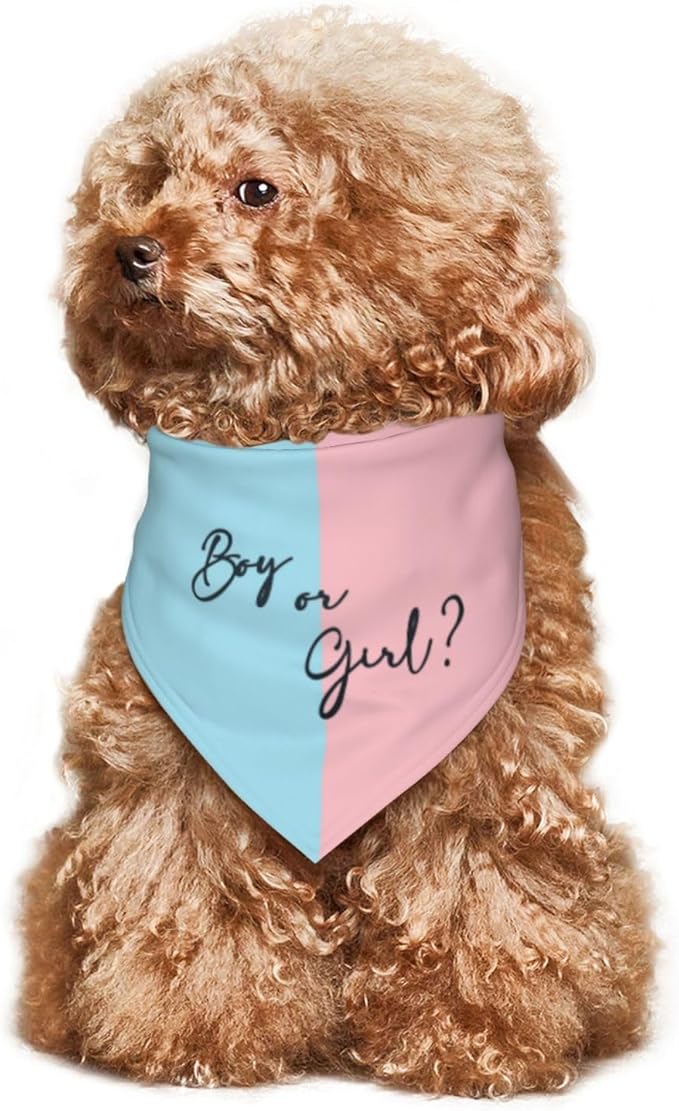 He Or She What Will It Be? Gender Reveal/Baby Announcement Dog Bandana,Pet Neckerchief for Pets Daily Wear Photo Prop Party Supplies (boy or Girl-2)