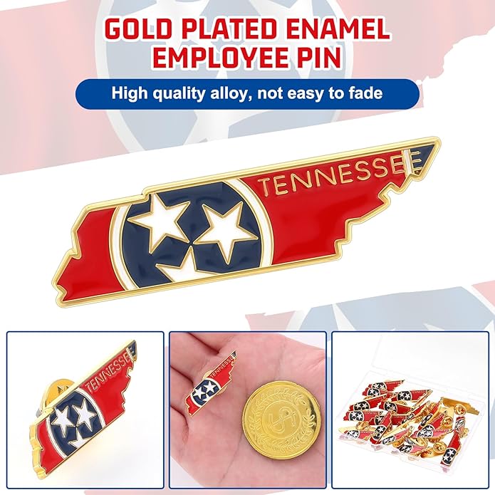 25 Pcs USA State Lapel Pins Bulk Texas California Florida Tennessee South Carolina Patriotic Traveler Souvenir Gifts