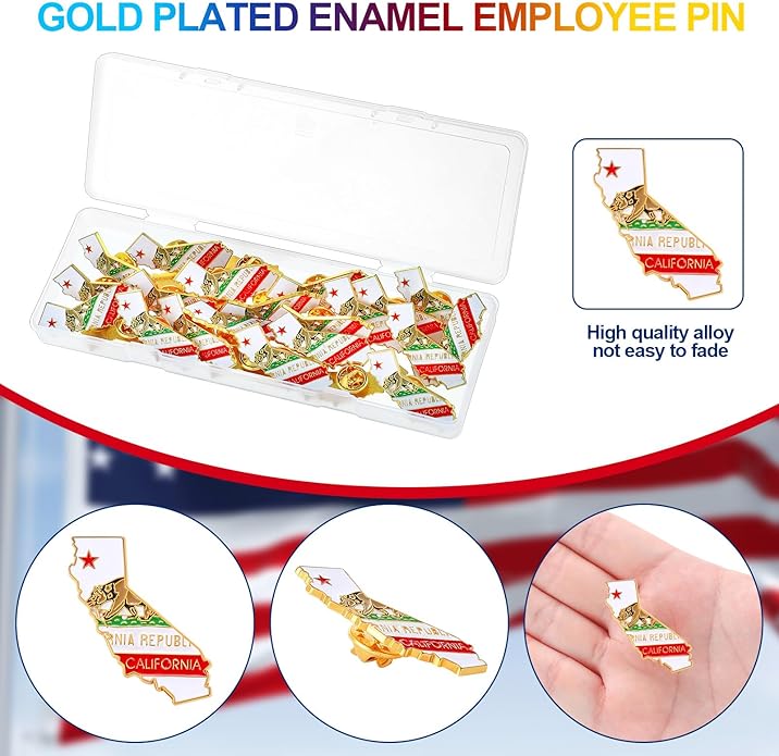 25 Pcs USA State Lapel Pins Bulk Texas California Florida Tennessee South Carolina Patriotic Traveler Souvenir Gifts