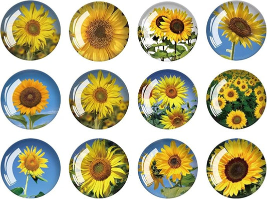 Strong Glass Refrigerator Stickers,12Pcs Magnets for Fridge,Funny Fridge Magnet Shape,Cute Small Tiny Magnet for Kitchen Whiteboard Door Decorative (Sunflower Refrigerator Stickers)