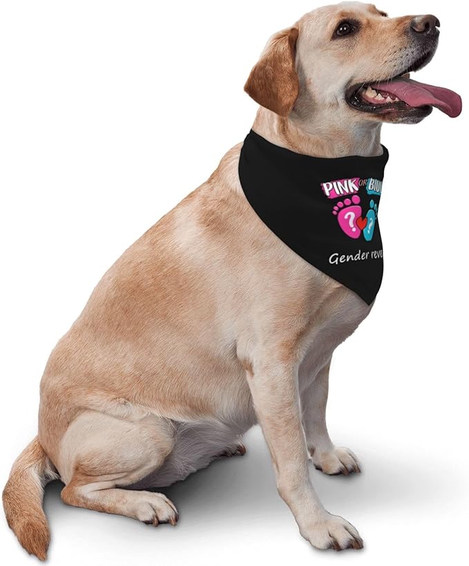 He Or She What Will It Be? Gender Reveal/Baby Announcement Dog Bandana,Pet Neckerchief for Pets Daily Wear Photo Prop Party Supplies (Black -01)