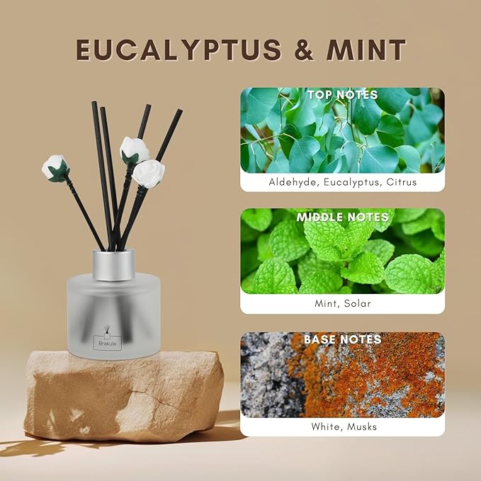 Brakula 2 Pack Reed Diffuser Set, Eucalyptus & Mint Scented, Home Fragrance with 14 Sticks Bathroom Decor, Reed diffusers for Home 6.76 fl oz (Eucalyptus & Mint)