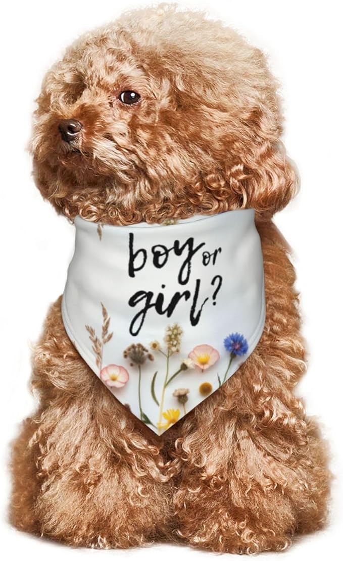 He Or She What Will It Be? Gender Reveal/Baby Announcement Dog Bandana,Pet Neckerchief for Pets Daily Wear Photo Prop Party Supplies (Blue Flower)