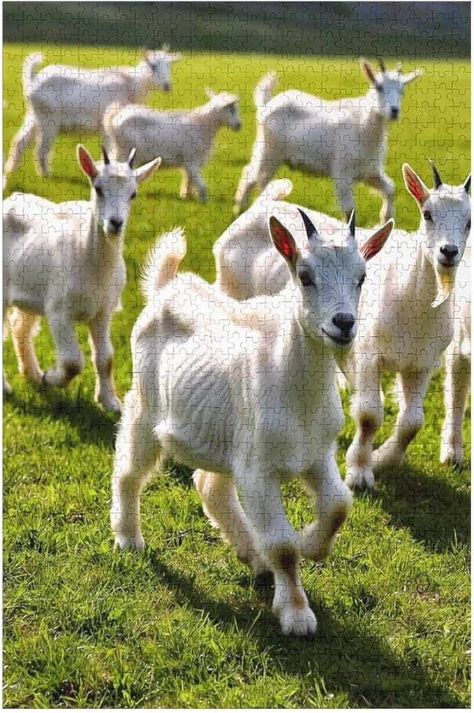 Adult Wooden Puzzle 1000 Pieces - Farm Baby Goats Theme Jigsaw Puzzles， Exquisite Art Design，for Puzzles Challengers and Enthusiasts，Puzzle Games for Children and Adults