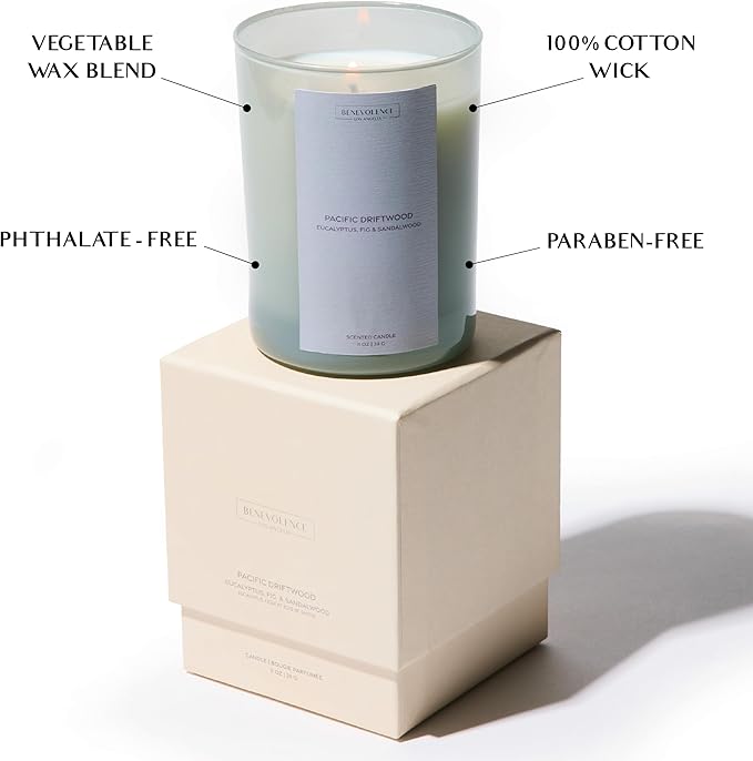 Eucalyptus Fig & Sandalwood Scented Candle | 11oz, 60 Hour Burn | Natural Soy Wax, Cotton Wick | Soy Scented Candles for Home Fragrance | Sun-Kissed Collection - Pacific Driftwood