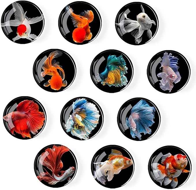12Pcs Glass Refrigerator Magnets - Fridge Magnets Decoration for Classroom, Locker, Office Whiteboards, Cabinet, Dishwasher and Magnetic Surfaces (Goldfish)