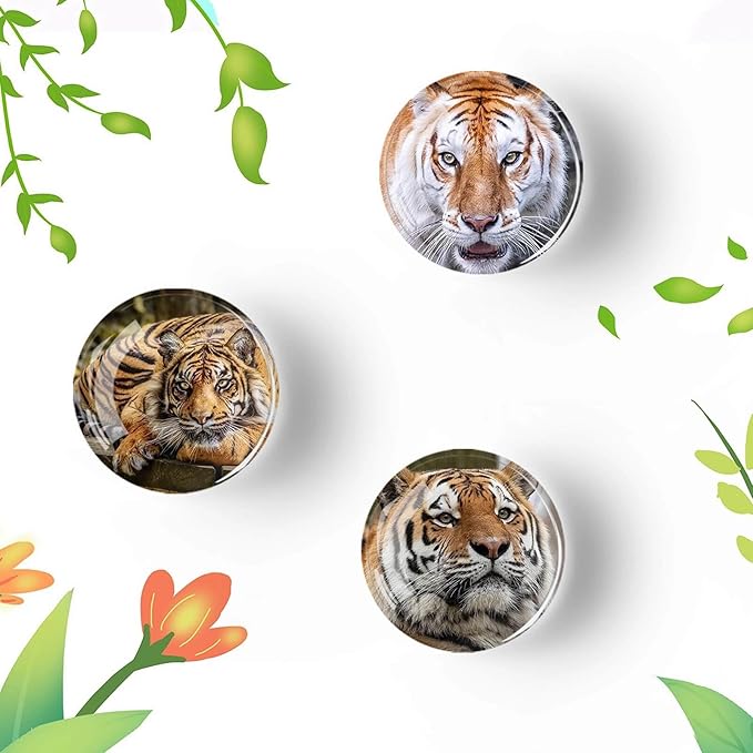 12Pcs Glass Refrigerator Magnets - Fridge Magnets Decoration for Classroom, Locker, Office Whiteboards, Cabinet, Dishwasher and Magnetic Surfaces (Tiger)