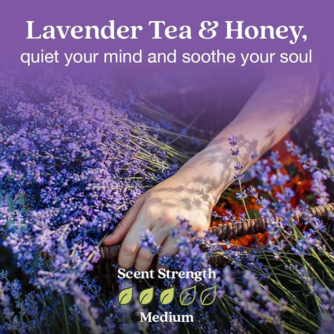 Enviroscent Non Toxic Air Freshener (Lavender Tea & Honey) Plug-in Home Fragrance Last 45+ Days | Kit includes 1 Refillable Plug In Warmer & 1 Scent Refill