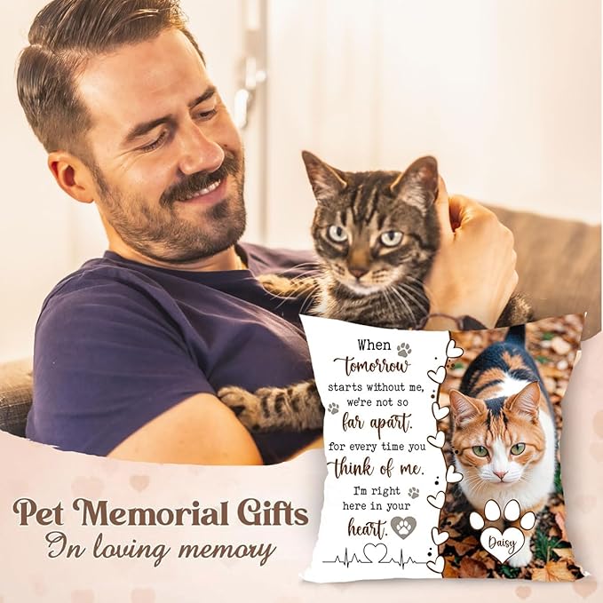Personalized Pet Memorial Throw Pillow (Insert Included), Cat Memorial Pillow, Loss Of Cat Sympathy Gift, Cat Memorial Gifts For Loss Of Cat, Cat Memorial Gifts, Pet Loss Sympathy Gift Memorial Gifts