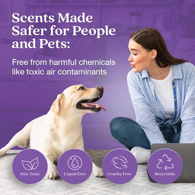 Enviroscent Non Toxic Air Freshener (Lavender Tea & Honey) Plug-in Home Fragrance Last 45+ Days | Kit includes 1 Refillable Plug In Warmer & 1 Scent Refill
