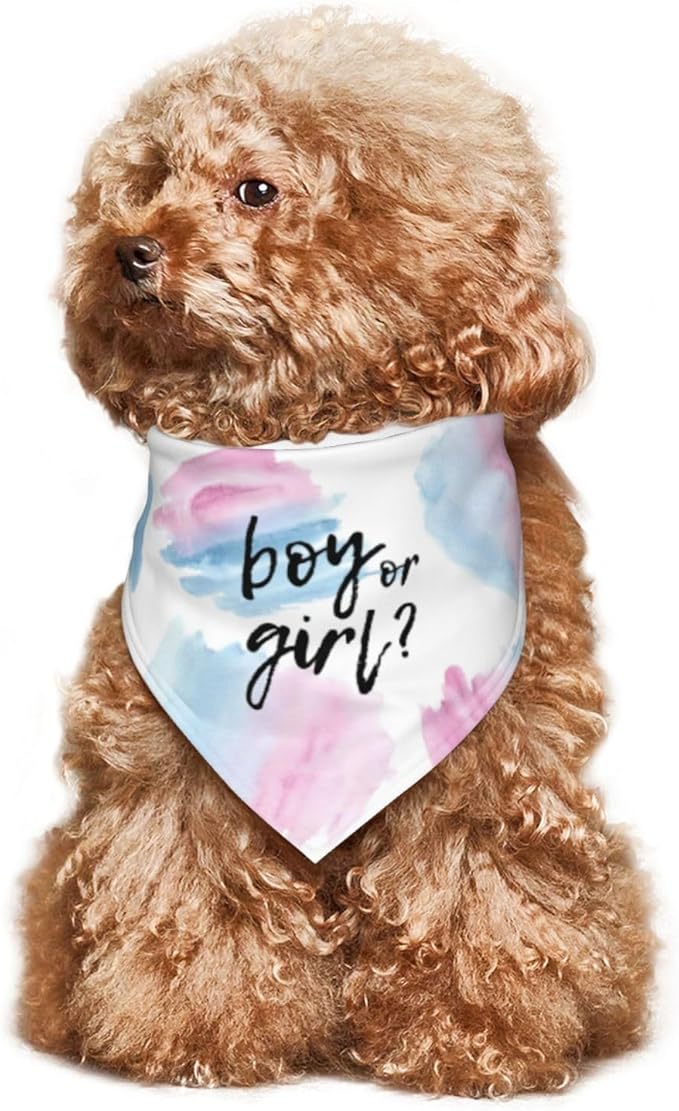 He Or She What Will It Be? Gender Reveal/Baby Announcement Dog Bandana,Pet Neckerchief for Pets Daily Wear Photo Prop Party Supplies (Color Block)