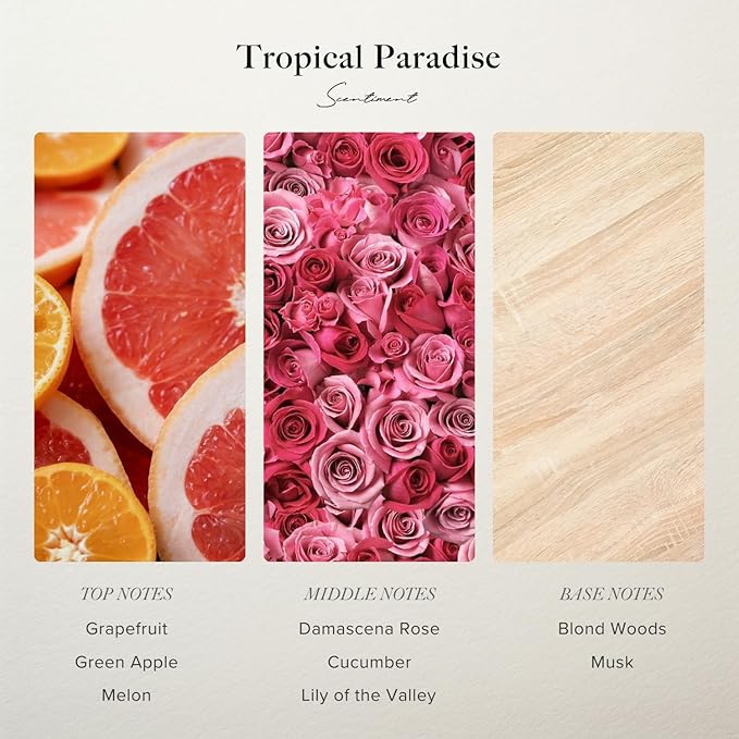 Scentiment Diffuser Oil - Tropical Paradise | Aromatherapy Fragrance Inspired by 5-Star Hotels | Luxurious Scent with Notes of Grapefruit, Green Apple, Musk (120 mL)