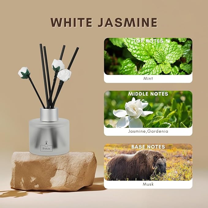 Brakula Reed Diffuser Set,White Jasmine Scented， Reed diffusers for Home， Home Fragrance Diffuser with 7 Reed Sticks for Room/Bathroom Decor 3.38 fl oz (100 ml) (White Jasmine)