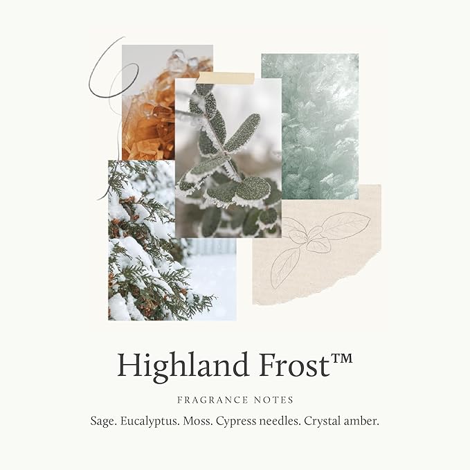 Thymes Travel Tin Holiday Candles - Scented Candles for Home Decor - Winter Scents - Christmas Gifts - Luxury Home Fragrance Gifts for Women & Men - Silver (Highland Frost, 2.5 oz)