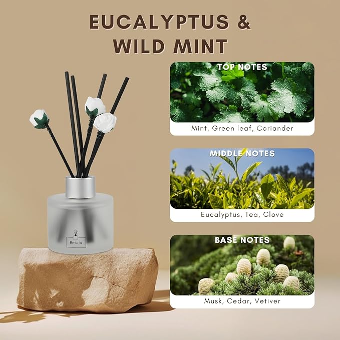 Brakula Reed Diffuser Set, Eucalyptus & Wild Mint Scented， Reed diffusers for Home， Home Fragrance Diffuser with 7 Reed Sticks for Room/Bathroom Decor 3.38 fl oz (Eucalyptus & Wild Mint)