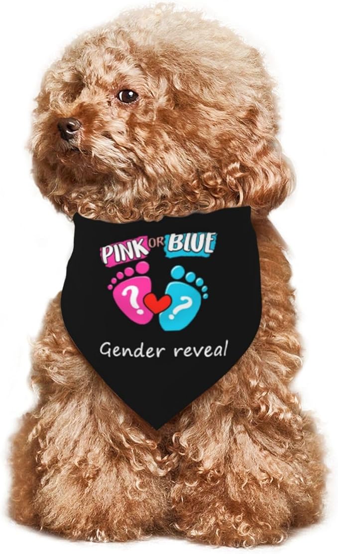 He Or She What Will It Be? Gender Reveal/Baby Announcement Dog Bandana,Pet Neckerchief for Pets Daily Wear Photo Prop Party Supplies (Black -01)