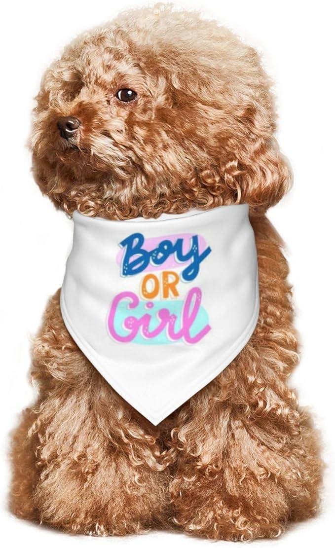 He Or She What Will It Be? Gender Reveal/Baby Announcement Dog Bandana,Pet Neckerchief for Pets Daily Wear Photo Prop Party Supplies (White -2)