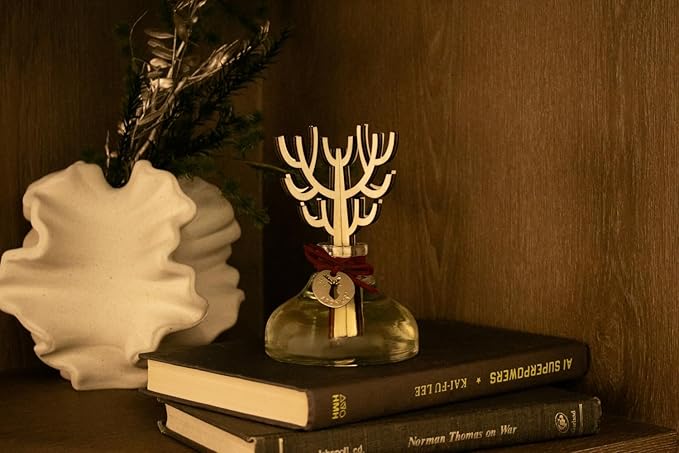 Aronica Christmas Diffuser - Hollyberry Scent, Burgundy Decorations Red Reed Diffuser, Cinnamon Smell Decor Apartment, Secret Santa Winter Scented Aromas Home, Modern Shelf Accents