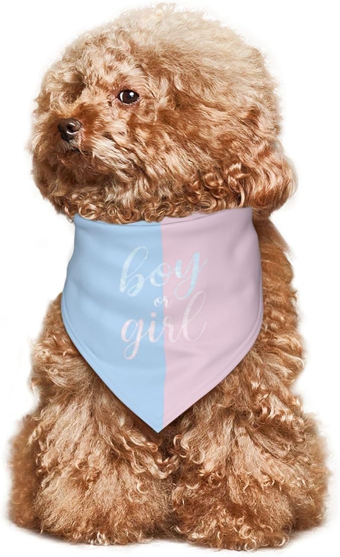 He Or She What Will It Be? Gender Reveal/Baby Announcement Dog Bandana,Pet Neckerchief for Pets Daily Wear Photo Prop Party Supplies (Sequins)