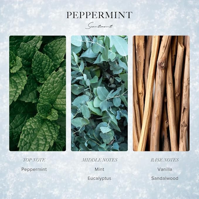Scentiment - Peppermint Winter Collection Diffuser Oils | Aromatherapy Home Fragrance | Luxurious Scent with Notes of Peppermint, Mint, Vanilla, 20ml