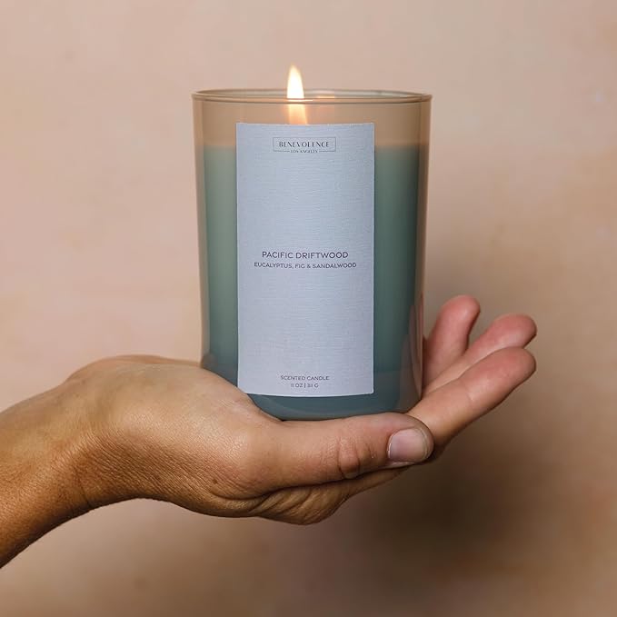 Eucalyptus Fig & Sandalwood Scented Candle | 11oz, 60 Hour Burn | Natural Soy Wax, Cotton Wick | Soy Scented Candles for Home Fragrance | Sun-Kissed Collection - Pacific Driftwood