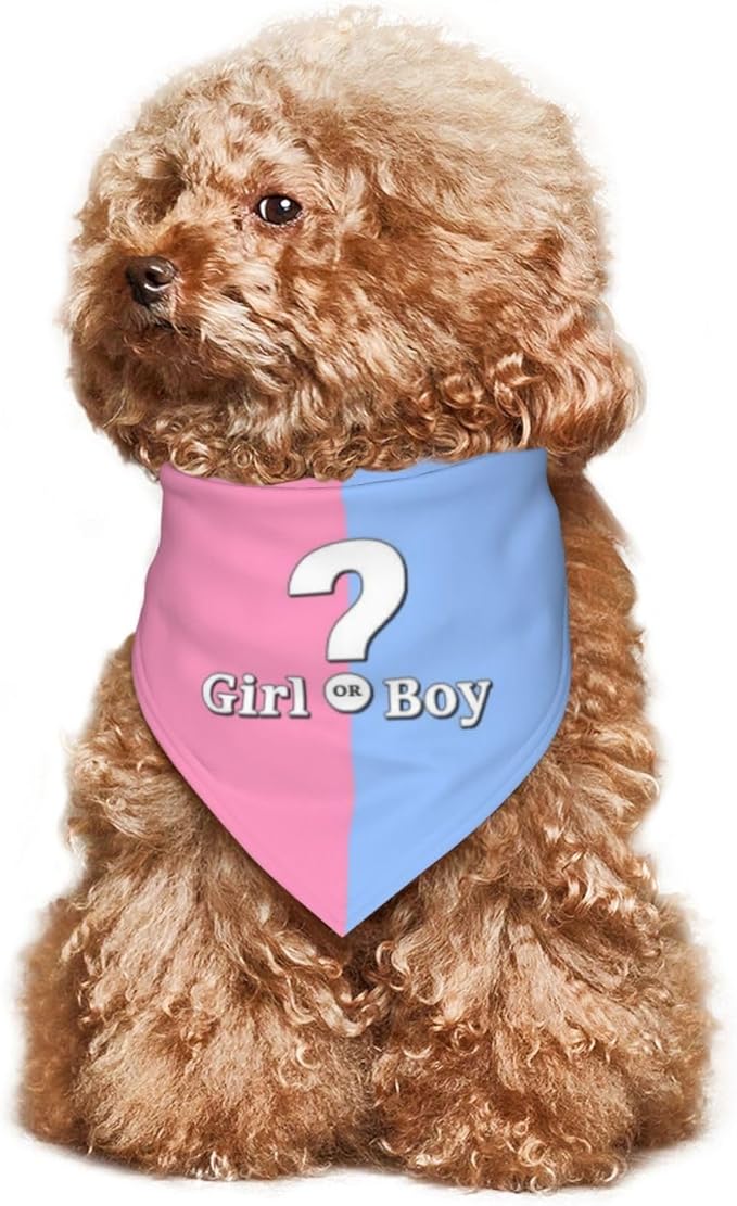 He Or She What Will It Be? Gender Reveal/Baby Announcement Dog Bandana,Pet Neckerchief for Pets Daily Wear Photo Prop Party Supplies (Pink)