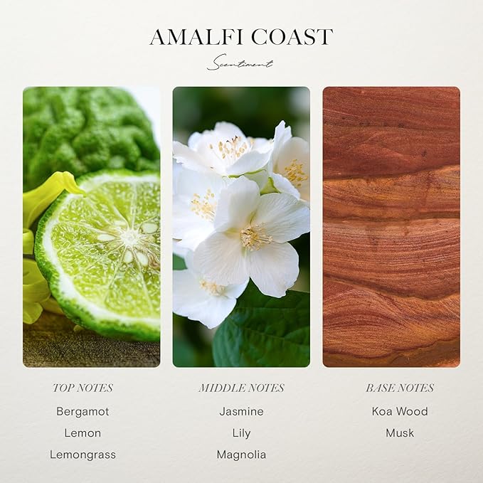 Scentiment Diffuser Oil - Amalfi Coast | Aromatherapy Fragrance | Inspired by Luxury Five Star Hotels | Notes of Bergamot, Lemongrass, Jasmine, Lily, Magnolia & Koa Wood (20 mL)