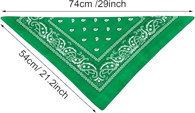 Blulu 6 Pcs Neon Color Cowboy Bandanas for Men Women Assorted Paisley Pattern Handkerchiefs 22 x 22 Inch Kids Headwrap Scarfs