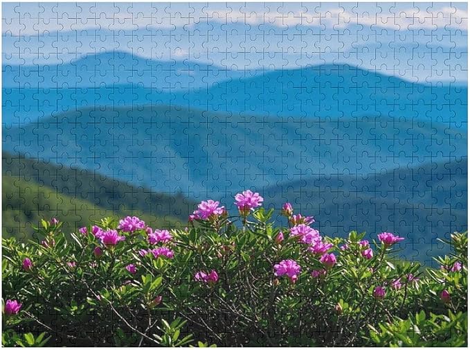 Natural Landscape - 500 Piece Jigsaw Puzzles for Adults，Stress Relieving Game Props Positive Thinking Puzzles Party Entertainment Puzzles for Adults and Teens Toy