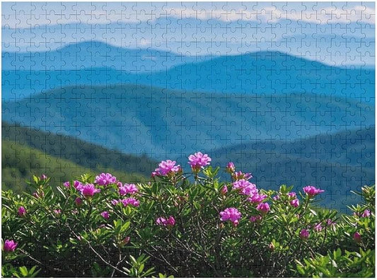 Natural Landscape - 500 Piece Jigsaw Puzzles for Adults，Stress Relieving Game Props Positive Thinking Puzzles Party Entertainment Puzzles for Adults and Teens Toy
