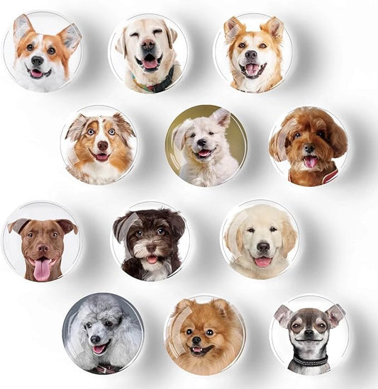 12Pcs Glass Refrigerator Magnets - Fridge Magnets Decoration for Classroom, Locker, Office Whiteboards, Cabinet, Dishwasher and Magnetic Surfaces (Cute Dog Smile)