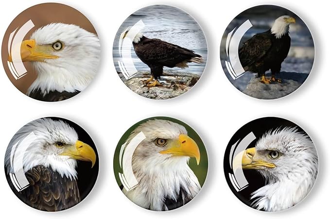 12Pcs Glass Refrigerator Magnets - Fridge Magnets Decoration for Classroom, Locker, Office Whiteboards, Cabinet, Dishwasher and Magnetic Surfaces (Eagle)
