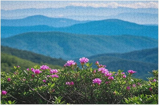 Natural Landscape - 1000 Piece Jigsaw Puzzles for Adults，Stress Relieving Game Props Positive Thinking Puzzles Party Entertainment Puzzles for Adults and Teens Toy