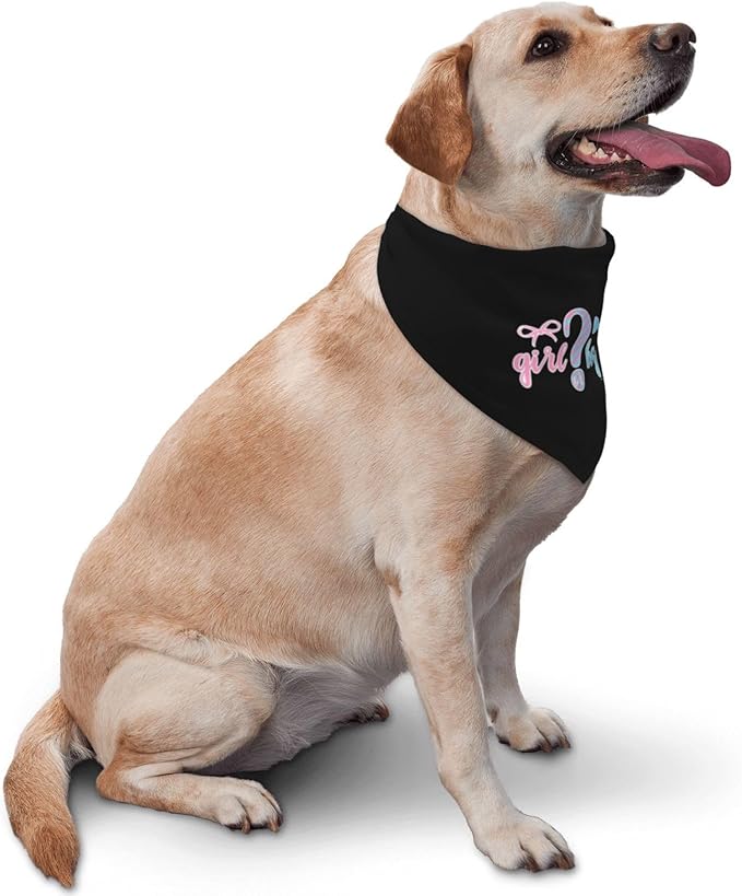 He Or She What Will It Be? Gender Reveal/Baby Announcement Dog Bandana,Pet Neckerchief for Pets Daily Wear Photo Prop Party Supplies (Black)