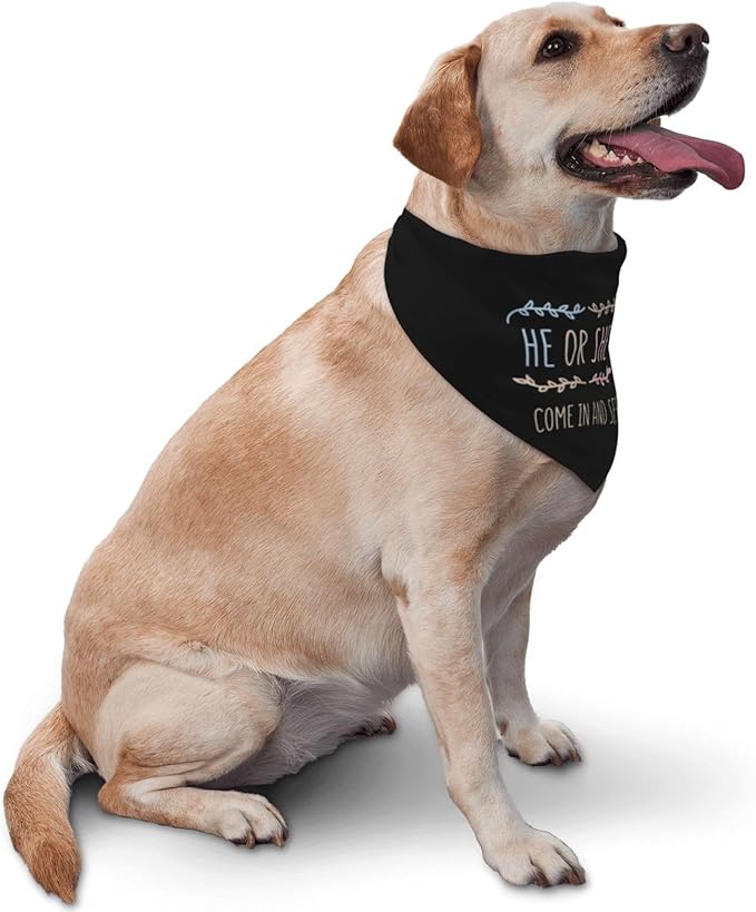 He Or She What Will It Be? Gender Reveal/Baby Announcement Dog Bandana,Pet Neckerchief for Pets Daily Wear Photo Prop Party Supplies (Light Color-Black)