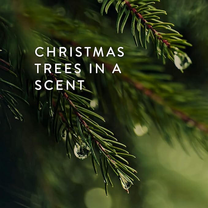 Thymes Frasier Fir Candle – Pine Needle Design – Holiday Scented Candle – Notes of Crisp Siberian Fir, Cedarwood & Sandalwood – Luxury Home Fragrance Gifts for Women & Men – Silver (Statement, 6.5 oz)