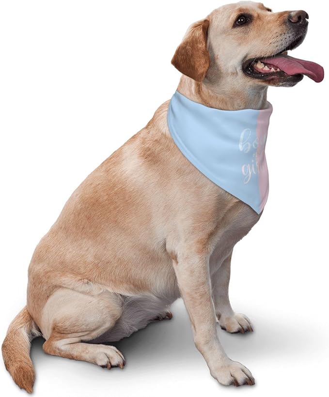 He Or She What Will It Be? Gender Reveal/Baby Announcement Dog Bandana,Pet Neckerchief for Pets Daily Wear Photo Prop Party Supplies (Sequins)