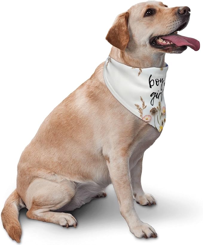 He Or She What Will It Be? Gender Reveal/Baby Announcement Dog Bandana,Pet Neckerchief for Pets Daily Wear Photo Prop Party Supplies (Blue Flower)