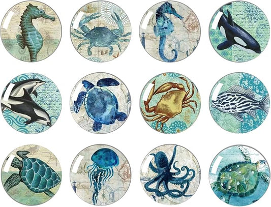 Strong Glass Refrigerator Stickers,12Pcs Magnets for Fridge,Funny Fridge Magnet Shape,Cute Small Tiny Magnet for Kitchen Whiteboard Door Decorative (Marine Animals Refrigerator Stickers)