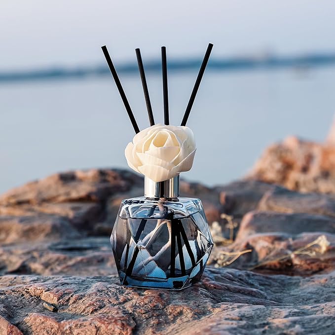 Brakula Reed Diffuser Set, 6.09 fl oz (180 ml)-Eucalyptus & Wild Mint with 8 Reed Sticks, Home Fragrance Reed Diffuser for Bathroom Shelf Decor