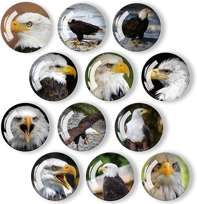 12Pcs Glass Refrigerator Magnets - Fridge Magnets Decoration for Classroom, Locker, Office Whiteboards, Cabinet, Dishwasher and Magnetic Surfaces (Eagle)
