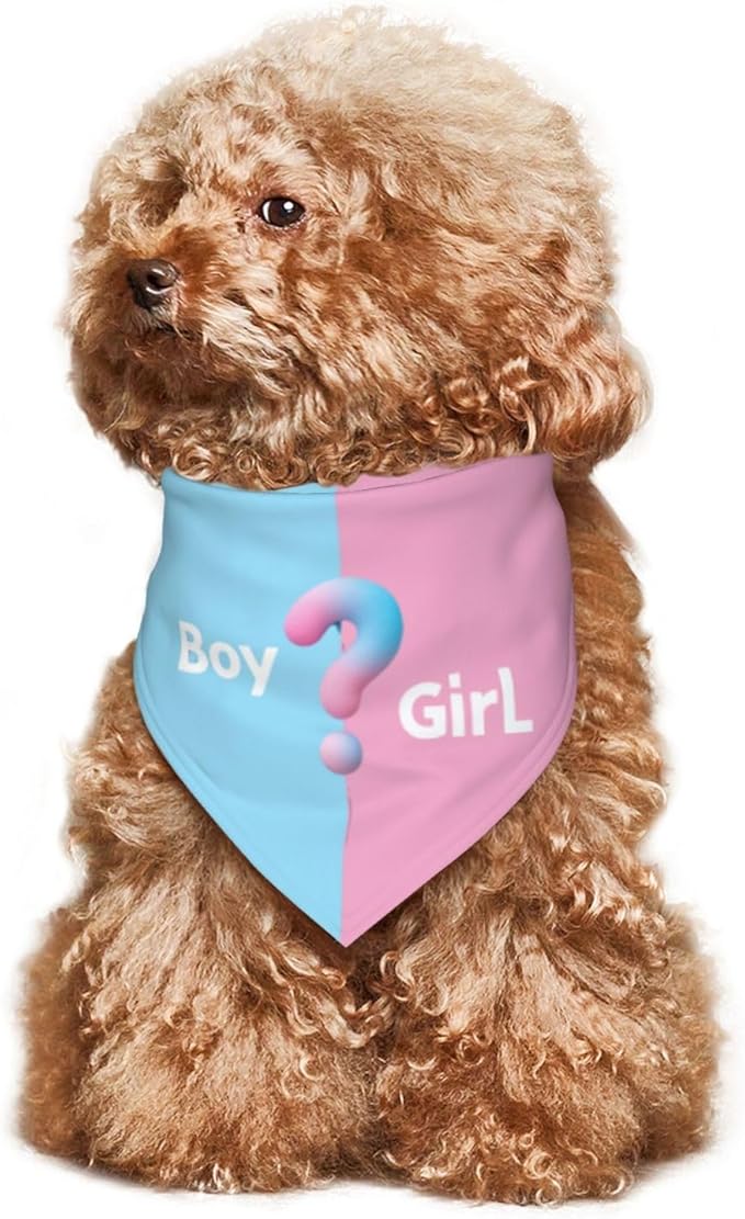 He Or She What Will It Be? Gender Reveal/Baby Announcement Dog Bandana,Pet Neckerchief for Pets Daily Wear Photo Prop Party Supplies (Three-Dimensional?)