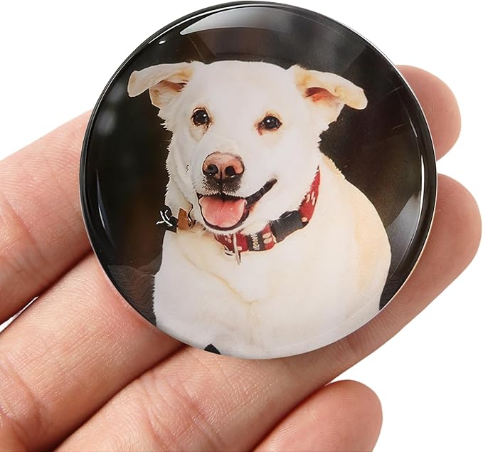 Cute Dog Fridge Magnets 4 Pack - WILMIN Round Glass Refrigerator Magnets, Dog Lover Gift with Multiple Color Backgrounds, 1.97 Inch Diameter, Strong Hold Decorative Magnets