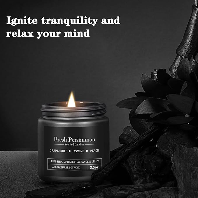10 Pack Scented Candles for Men, Masculine Candle Gift Set with Woody & Fresh Scents, Soy Wax Aromatherapy Candles for Home, Gifts for Him, Boyfriend, Christmas