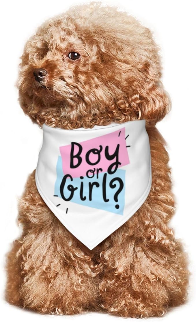 He Or She What Will It Be? Gender Reveal/Baby Announcement Dog Bandana,Pet Neckerchief for Pets Daily Wear Photo Prop Party Supplies (White -1)