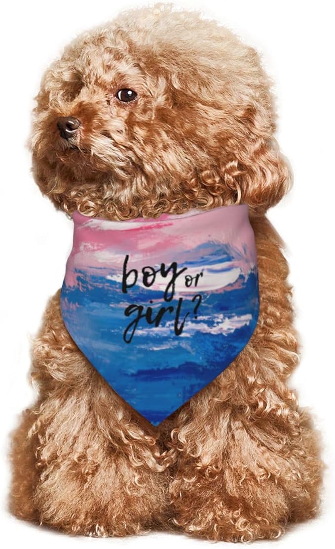 He Or She What Will It Be? Gender Reveal/Baby Announcement Dog Bandana,Pet Neckerchief for Pets Daily Wear Photo Prop Party Supplies (Oil Paint Style)