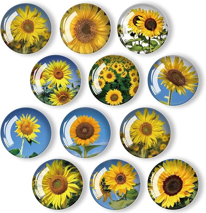 12Pcs Glass Refrigerator Magnets - Fridge Magnets Decoration for Classroom, Locker, Office Whiteboards, Cabinet, Dishwasher and Magnetic Surfaces (Sunflower)