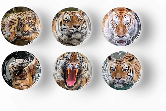 12Pcs Glass Refrigerator Magnets - Fridge Magnets Decoration for Classroom, Locker, Office Whiteboards, Cabinet, Dishwasher and Magnetic Surfaces (Tiger)